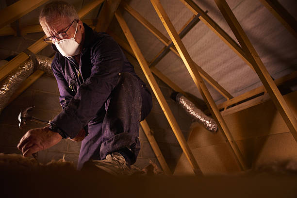 Best Insulation Contractor Near Me  in Wolcottville, IN